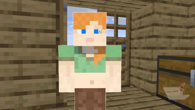 A Minecraft Porn Parody