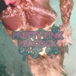 Beautiful Pink Peacock